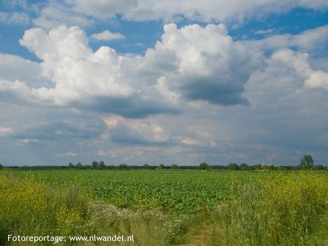 Zurepasweiden