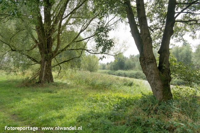 Roggebotzand, Roggebottocht