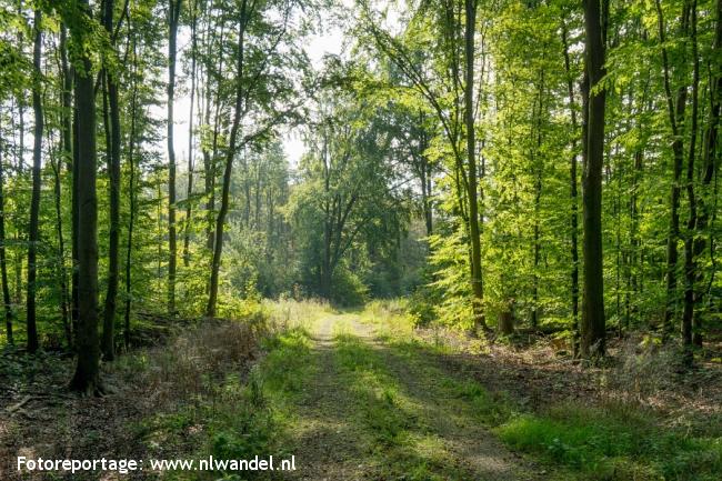 Groene Wissel Dronten, Roggebotsluis