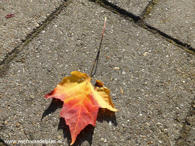 Trage Tocht Veenendaal West