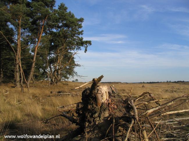 Trage Tocht Hoge Veluwe