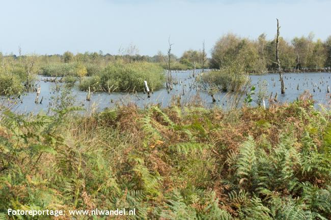 Groene Wissel Helenaveen