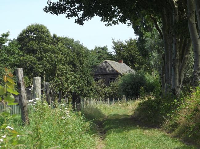 Boerderij in buitengebied