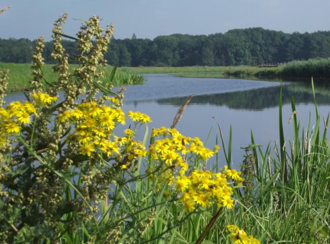 Zegenwerp-tocht