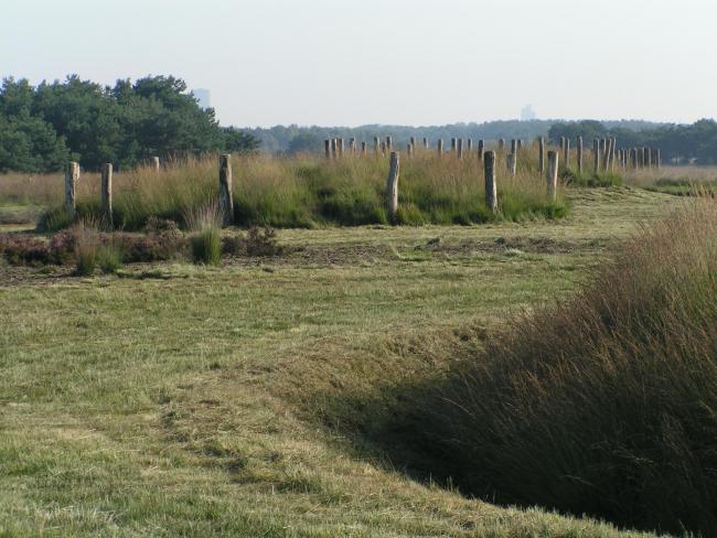 Grafheuvels uit de Midden-Bronstijd