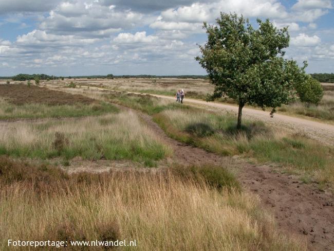 De Strabrechtse Heide