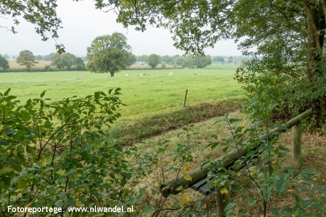 Groene Wissel Markelo 2