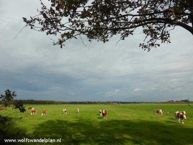 Trage Tocht Punthorst