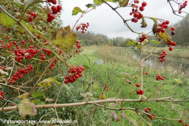 Groene Wissel Zeewolde, Harderhaven