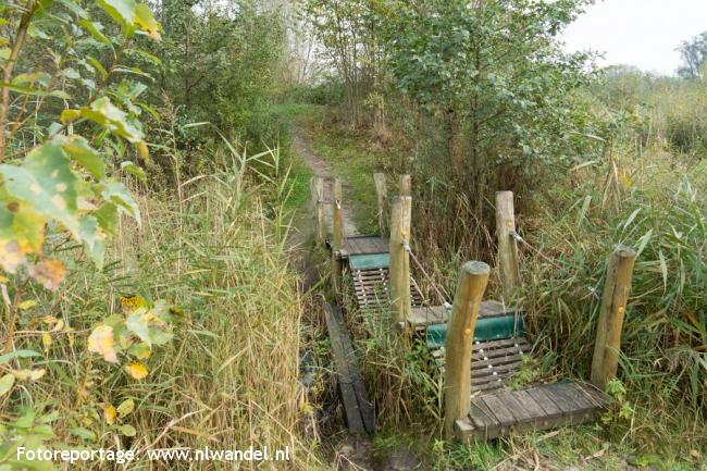 Groene Wissel Zeewolde: Harderhaven