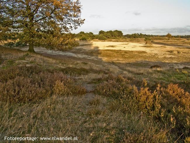 Wekeromse Zand