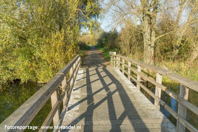 Groene Wissel Almere Muziekwijk