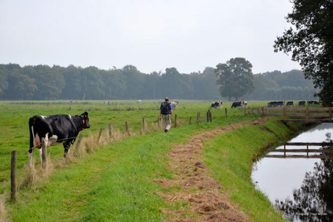 Wandelen bij Ommen