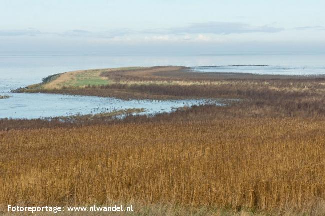 Eiland Wieringen
