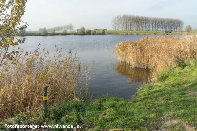 Groene Wissel Hulst