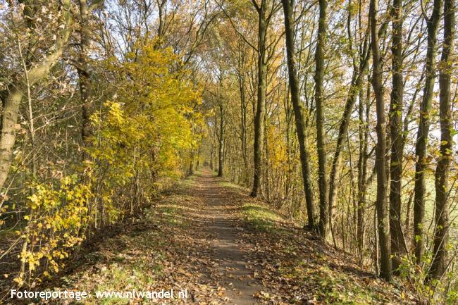 Groene Wissel Hulst 2