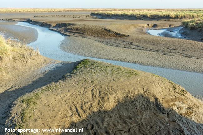 Verdronken Land van Saeftinghe