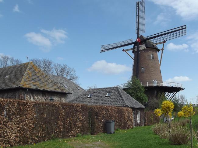 Stellingmolen De Stella Polaris