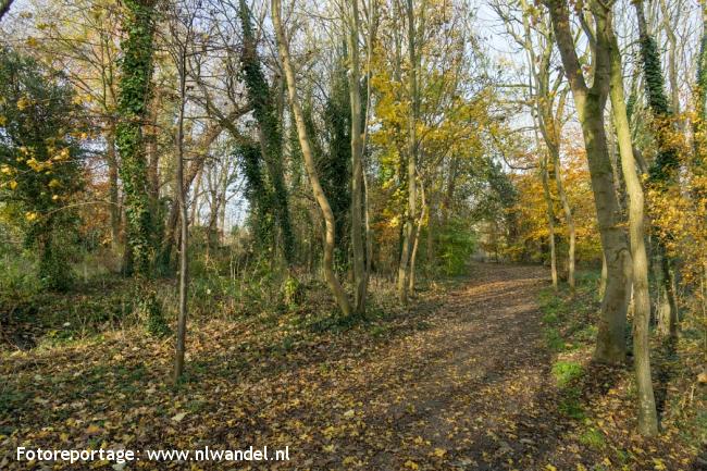 Hengstdijk, dorpspark