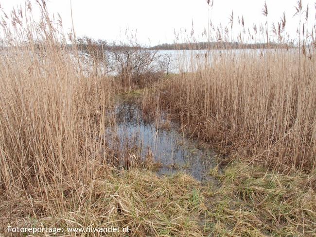 OV-Stapper Veerse Wateren