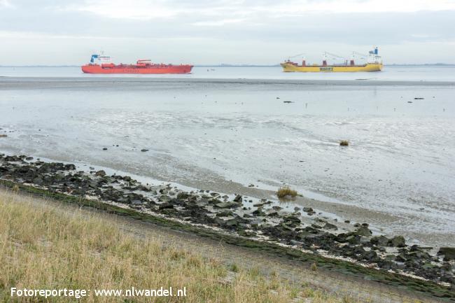 Westerschelde