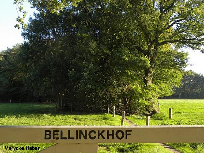 Landgoed Bellinckhof 