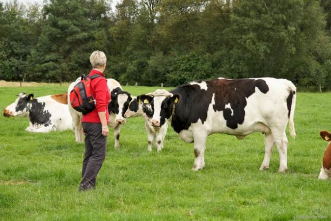 Rondwandeling over landgoed Twickel