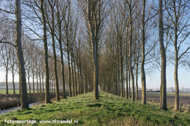 Groene Wissel Breskens