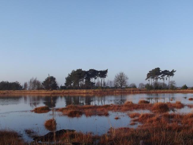 Rond het Beuven