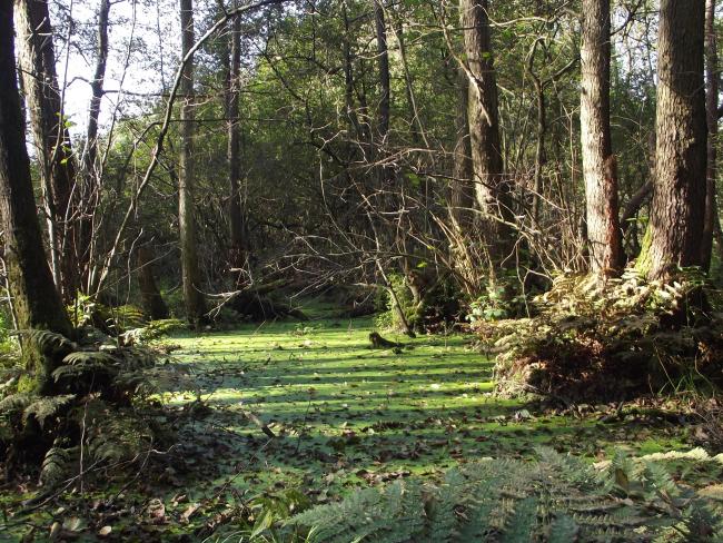 Houthuizerheide-tocht