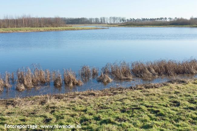 Natuurgebied Braakman