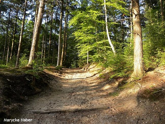 Bijzondere bergwandeling Hattem