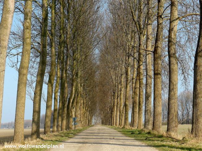 Trage Tocht Wolphaartsdijk