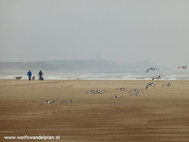 Trage Tocht Oostkapelle