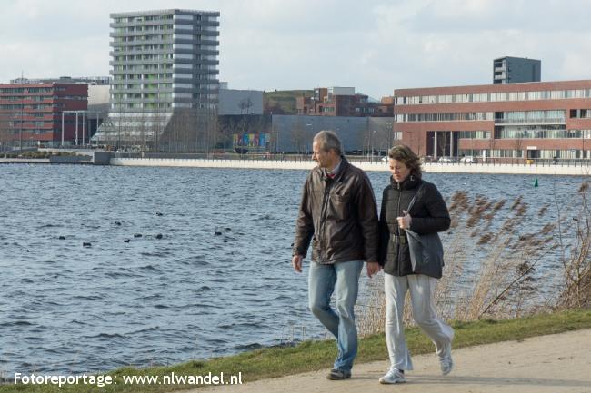 Groene Wissel Almere Parkwijk