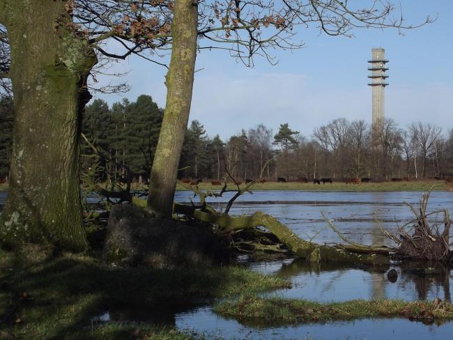 Natuurgebied de Grotelse Heide 