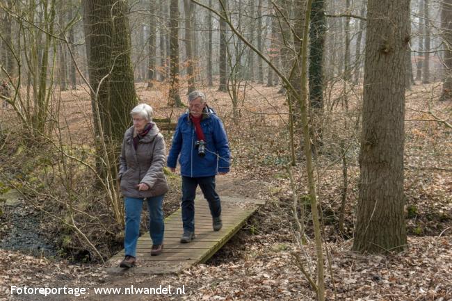 Groene Wissel Apeldoorn Osseveld