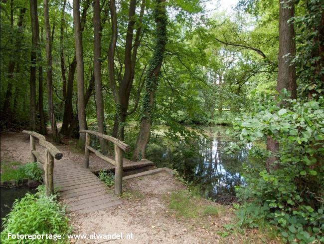 NS-wandeling Hemelse Berg