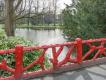 NS-wandeling Mastbos