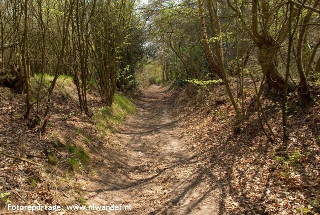 NS-wandeling Woldberg