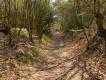 NS-wandeling Woldberg