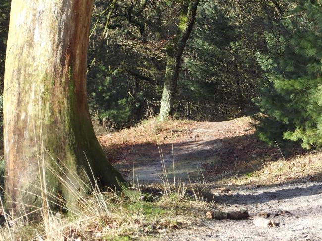 Ommetje Rode Hoek