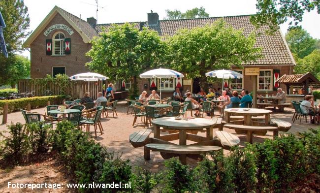 Groene Wissel Dieren