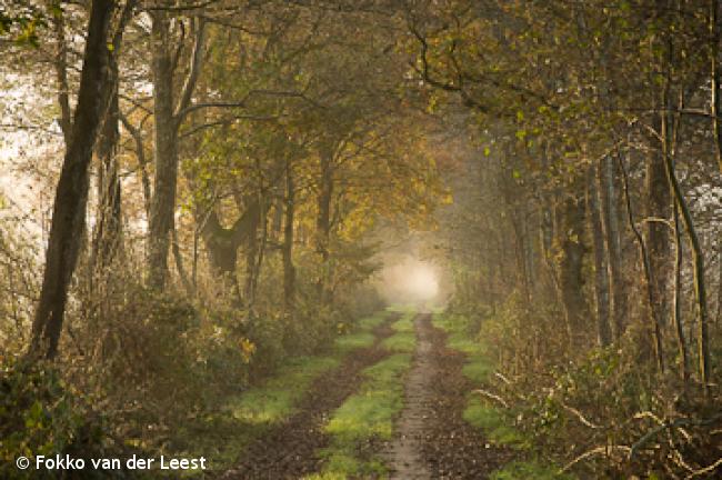 Oude paden-route Niebert-Jonkersvaart-Nuis