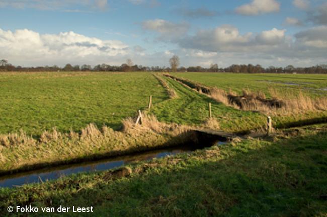 Rond en door het dorp Peize