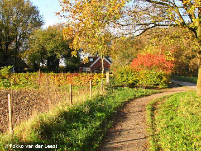 Genieten rond de grens van Groningen en Drenthe 