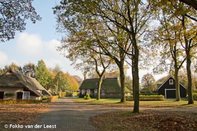 Wandelen door historisch Norg en over es-paden