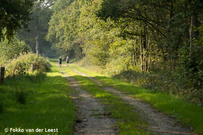 Wandelen in alle rust