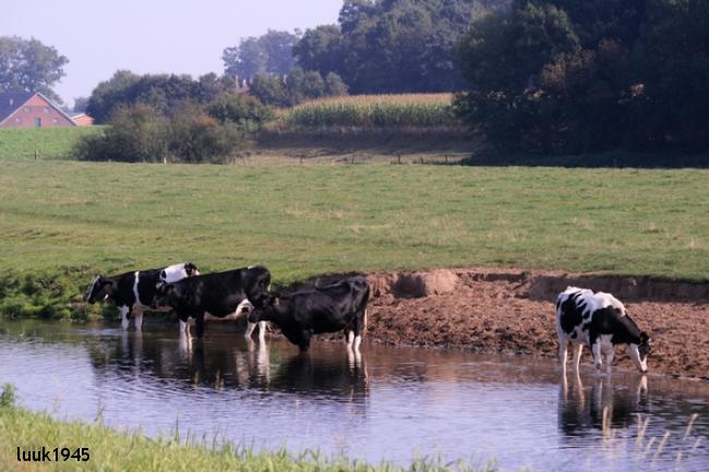 Berkelwandeling stroomopwaarts