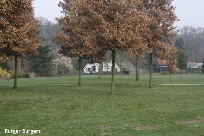 Boerderij op het GGZ-terrein